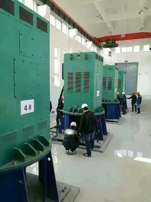 陵城某污水处理厂使用我厂的立式高压电机安装现场现货销售