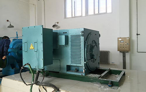 陵城某水电站工程主水泵使用我公司高压电机