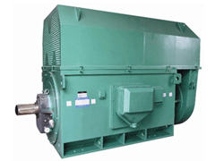 陵城Y系列6KV高压电机